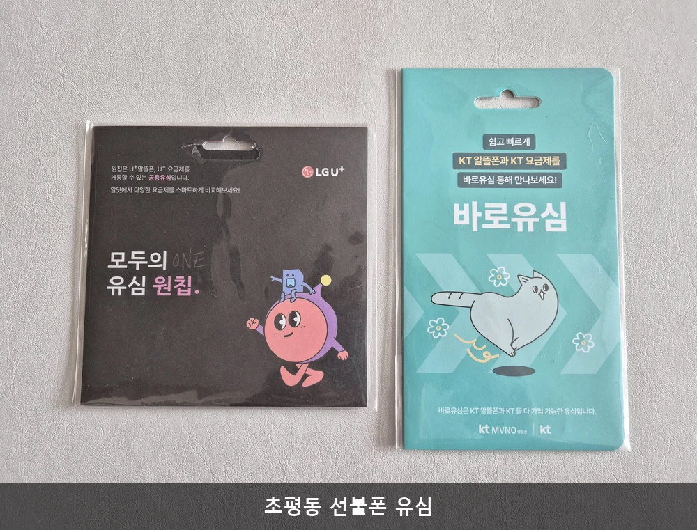 초평동 선불폰 유심