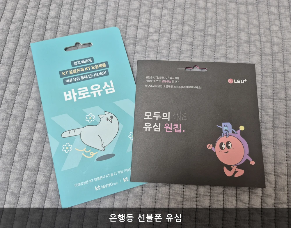 은행동 선불폰 유심