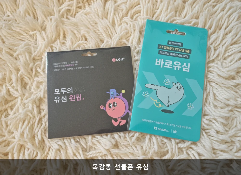 목감동 선불폰 유심
